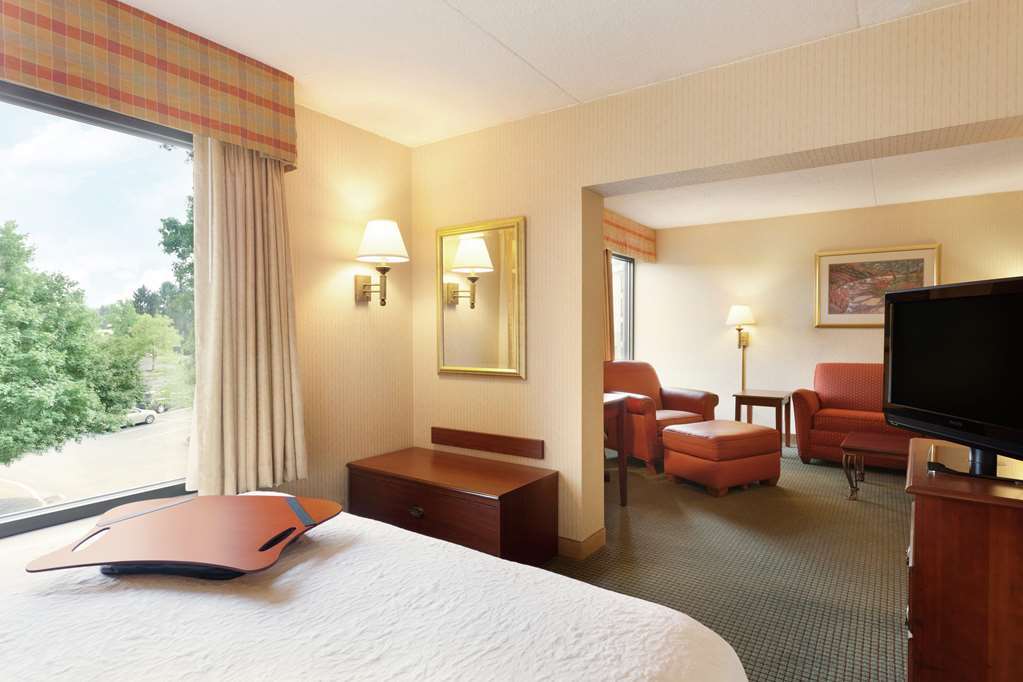 מכניקסבורג Hampton Inn By Hilton Harrisburg West חדר תמונה